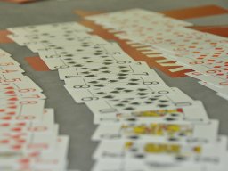 ahpt_2011_04_23_006